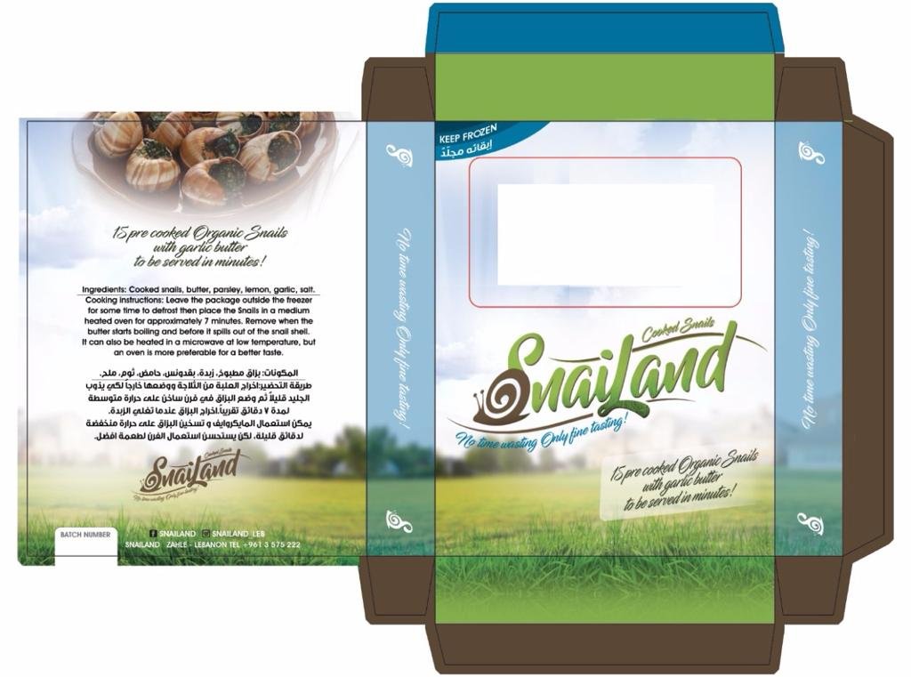 The flat die-line of the packaging.